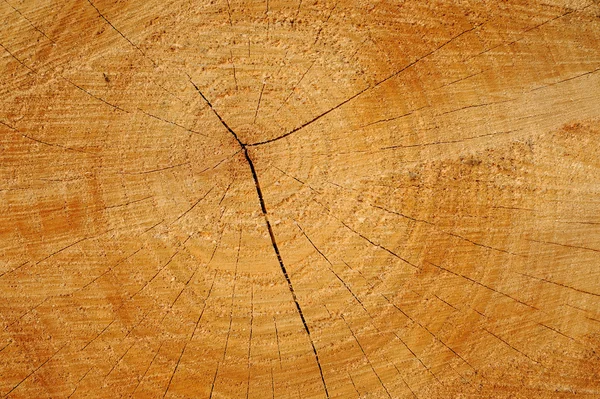 Gezaagd hout textuur. — Stockfoto