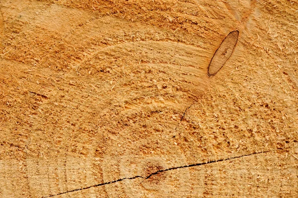 Sawn wood texture. — Stock Photo, Image