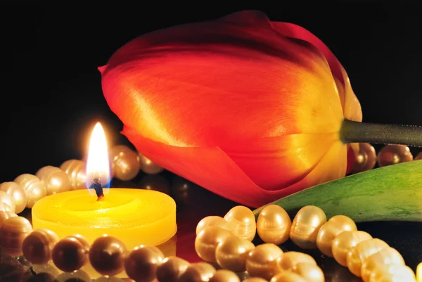 Свічка і тюльпан на темряві — стокове фото