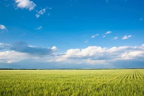 Vackra fält och moln — Stockfoto