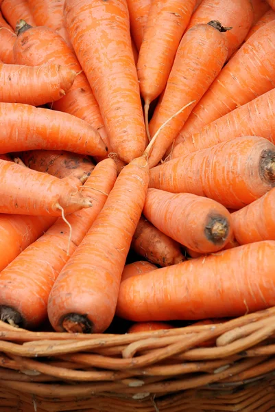 Carrots crop in a basket — Stok Foto
