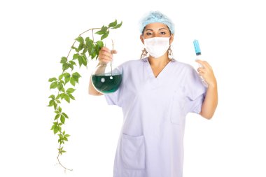 Researcher holding transgenic creeper plant clipart