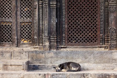 Pashupatinath Tapınağı giriş