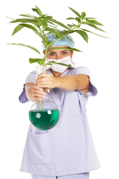 stock image Scientist genetic research