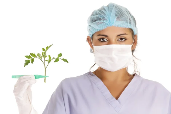 Gmo vegetable research — Stock Photo, Image