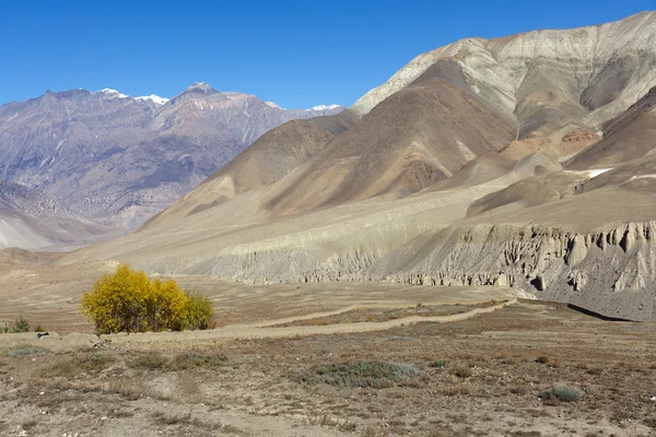 Nepal gór suchych — Zdjęcie stockowe