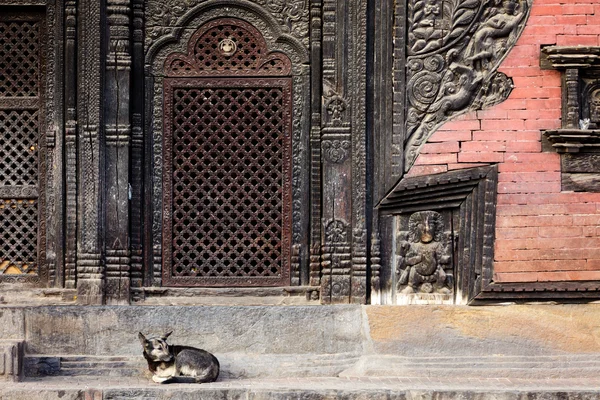 Pashupatinath Tapınağı giriş — Stok fotoğraf