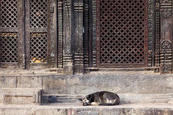 stock image Pashupatinath temple entrance