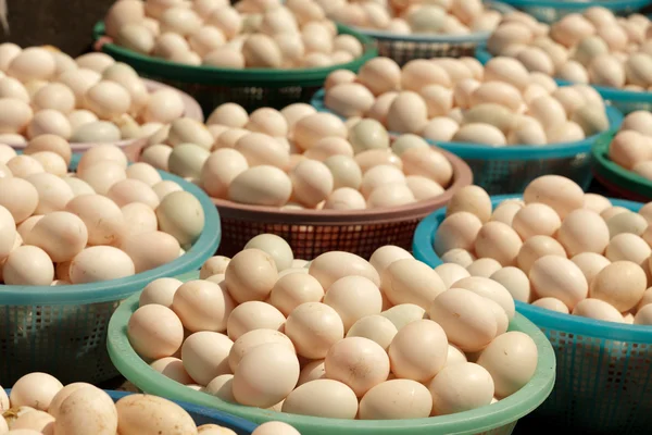 stock image Eggs in baskets