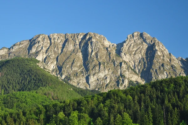 タトラ山脈ギエヴォントザコパネのピン - ザコパネ ポーランド ストック写真