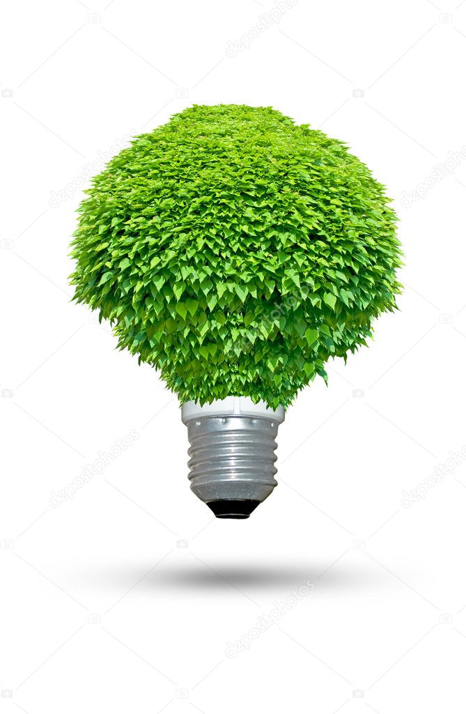 Renewable energy source - Green lightbulb concept