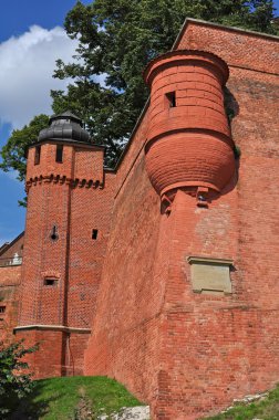 The Tower Royal Wawel Castle in Cracow,Kraków - Poland