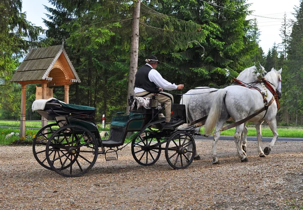 Cabby w Zakopanem, Tatry, Polska — Zdjęcie stockowe