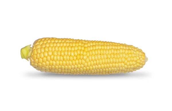 Big corn isolerad på vit bakgrund — Stockfoto