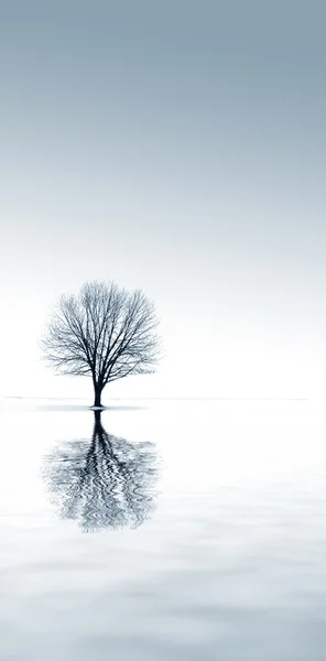 Inverno solidão — Fotografia de Stock