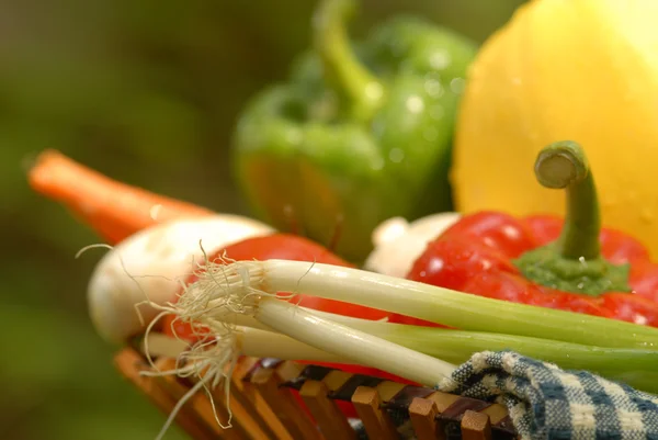 Närbild av grönsaker — Stockfoto