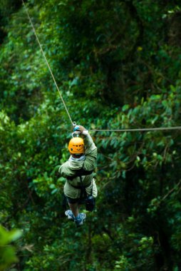 Canopy Tour clipart