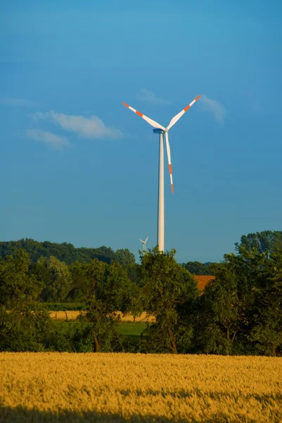 Turbina eólica —  Fotos de Stock