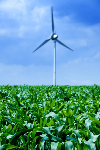 Windkraft — Stockfoto