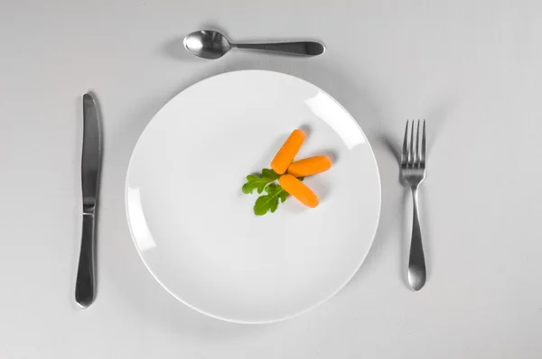 Placa blanca y dieta — Foto de Stock