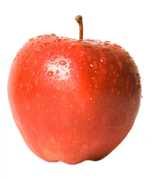 Apfel Stockbild
