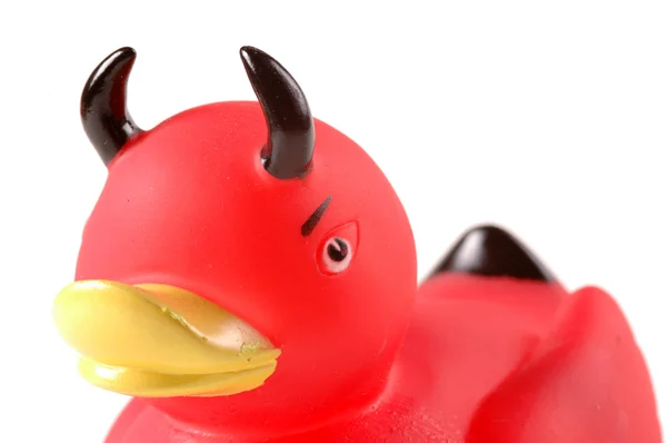 Devil Ducky on white Royalty Free Stock Images