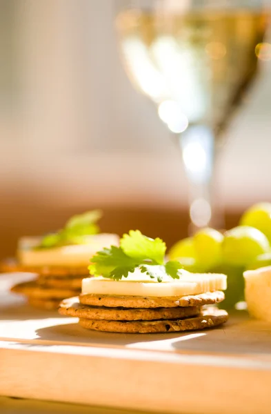 葡萄酒和奶酪 免版税图库照片