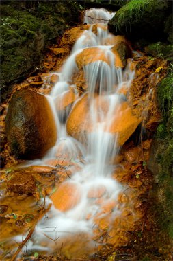 Waterfall in Latvia clipart