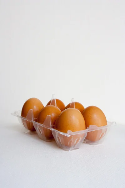 Seis huevos en caja de plástico Imágenes de stock libres de derechos
