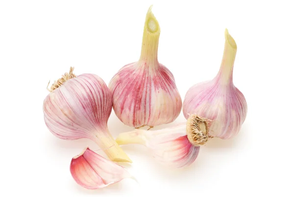 stock image Garlic isolated on white background