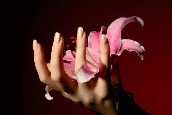 stock image Woman hand