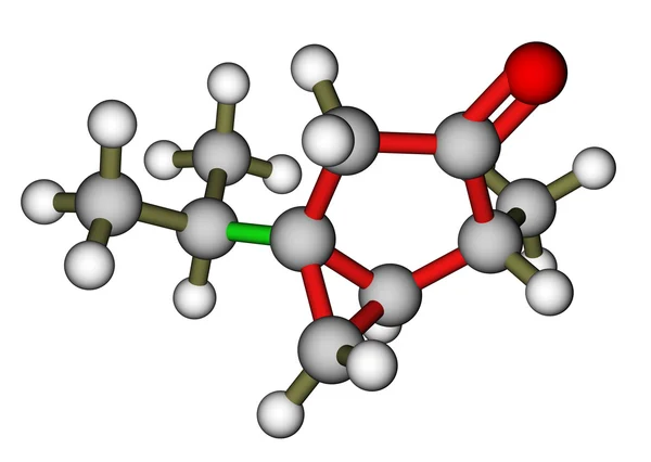 Tujon, złożone z zapach mentolu, składowe absyntu — Zdjęcie stockowe