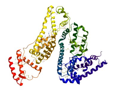 Serum albumin molecular structure clipart