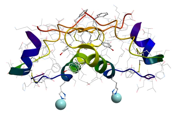 Molekulární struktura inzulínu — Stock fotografie