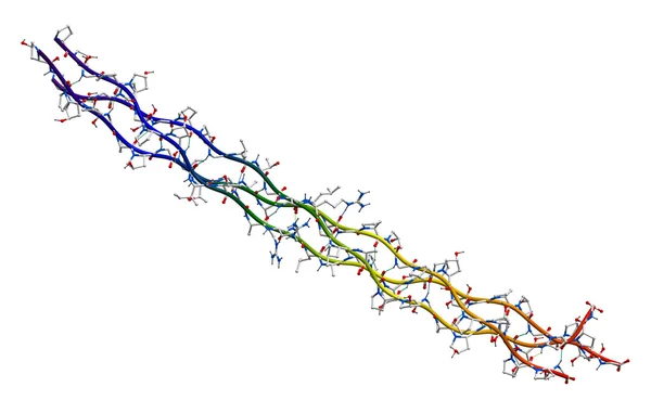 Molekula lidského kolagenu (segment) — Stock fotografie