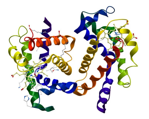 Struktura molekularna człowieka oksyhemoglobiny — Zdjęcie stockowe
