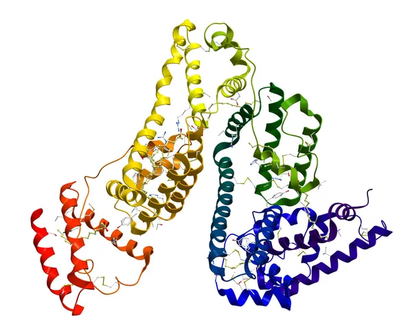 Serum albumin molecular structure — Stock Photo, Image