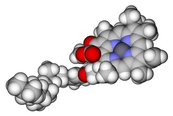 Chlorophylle Modèle moléculaire de remplissage d'espace — Photo