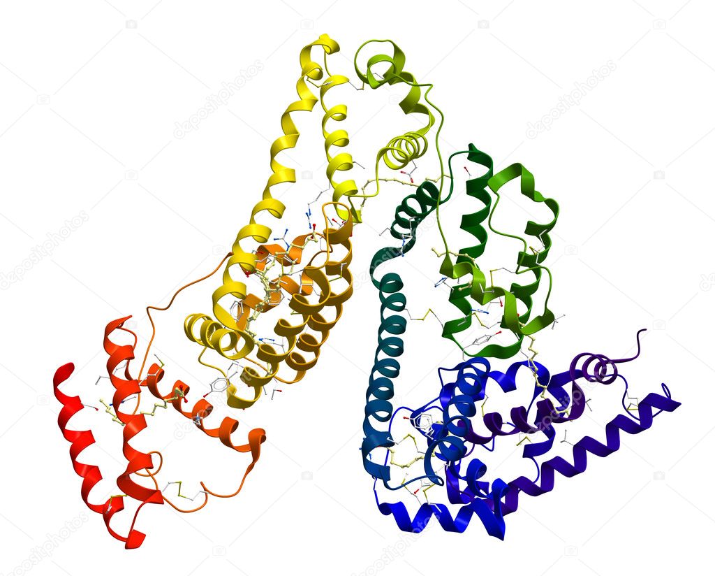 Serum albumin molecular structure