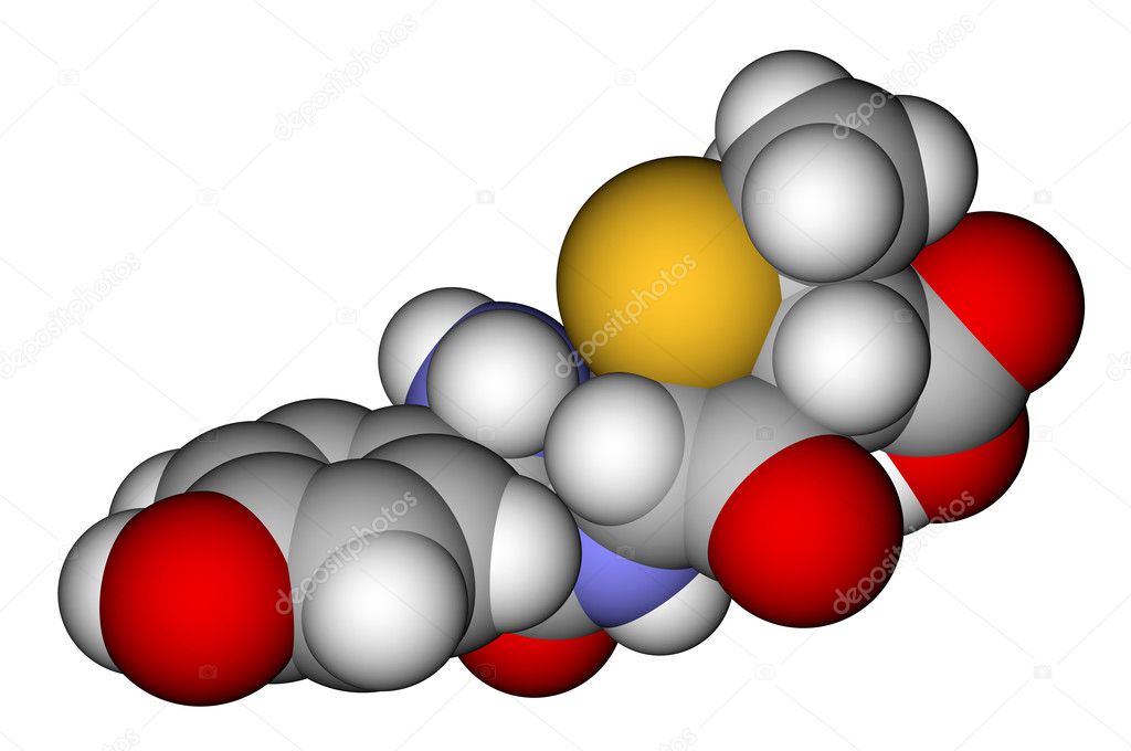 Amoxicillin space filling molecular model