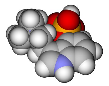 psilosibin, mashrooms içinde bulunan bir halüsinojen