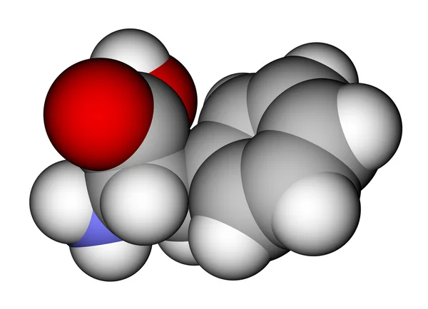 Molécule de phénylalanine — Photo