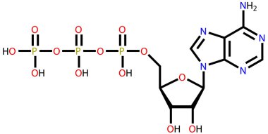 Adenosine triphosphate (ATP) structural formula clipart