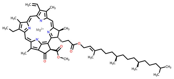 Chlorophyll A structural formula
