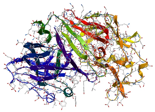 Enzymu pepsyny modelu 3d — Zdjęcie stockowe