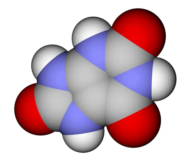 Modèle moléculaire de remplissage d'espace d'acide urique — Photo
