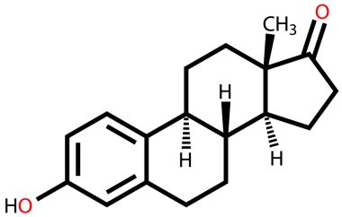 Sex hormone estrone structural formula clipart