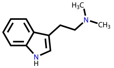 Dimethyltryptamine structural formula clipart