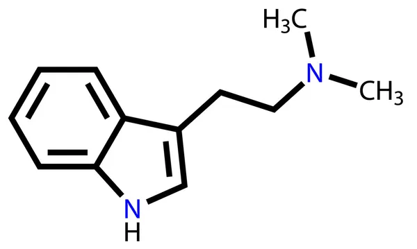 Dimethyltryptamine structuurformule — Stockvector