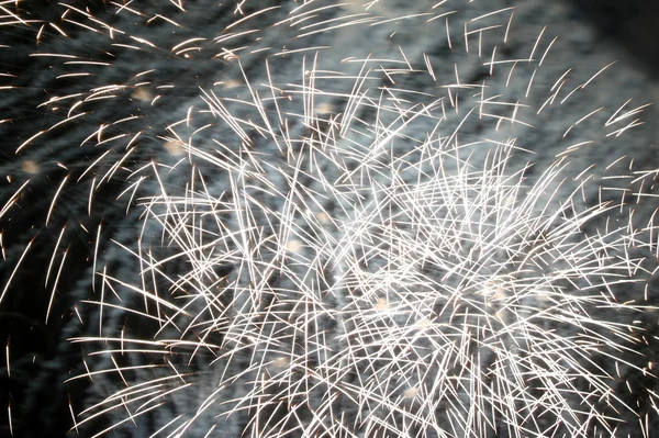 Biały celebracja fajerwerki — Zdjęcie stockowe